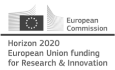 European Comission