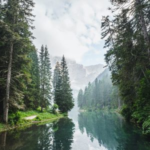 Environment
