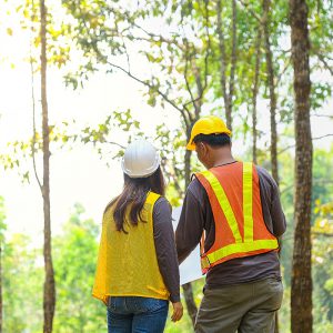 environmental engineers